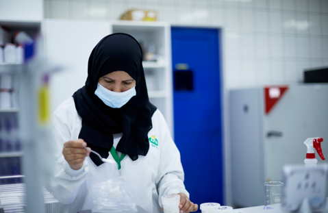 2024-2026: embedding  human rights and governance​